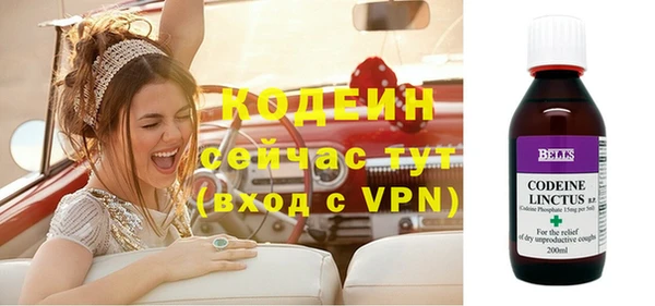 шишки Лагань