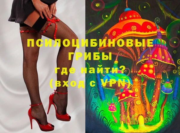 шишки Лагань
