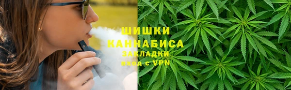 шишки Лагань