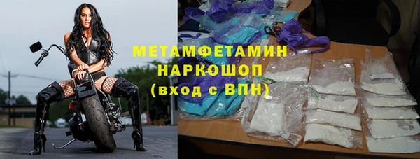 шишки Лагань