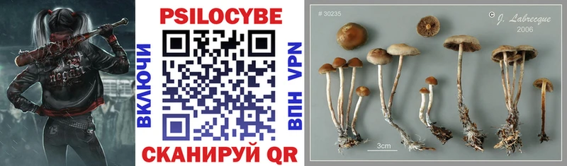 Галлюциногенные грибы мицелий  Новотитаровская 